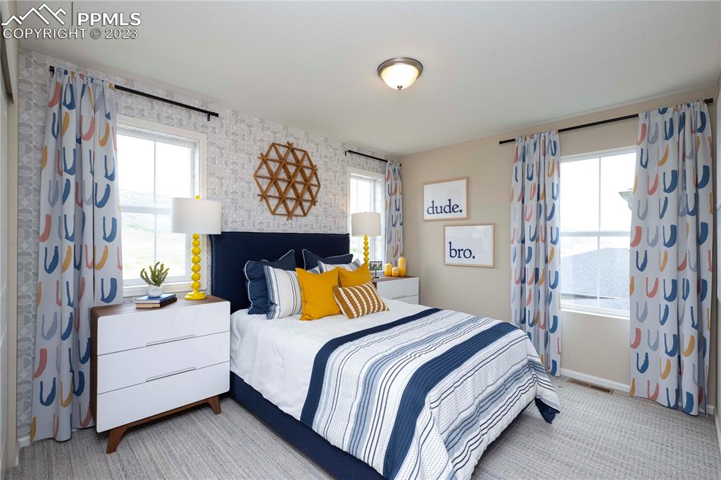 631 Felicity Loop Castle Rock, CO 80109 - Photo 29 of 33 a bedroom with a bed and window