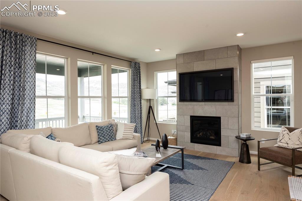 631 Felicity Loop Castle Rock, CO 80109 - Photo 9 of 33 a living room with furniture window and a fireplace