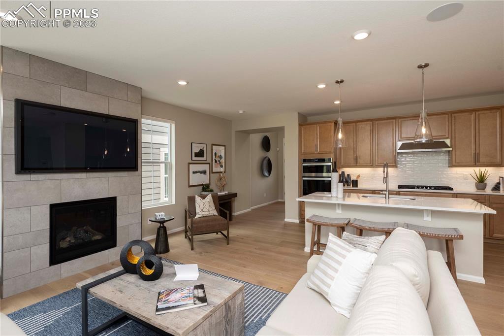 631 Felicity Loop Castle Rock, CO 80109 - Photo 10 of 33 a living room with stainless steel appliances furniture a fireplace a flat screen tv and view kitchen
