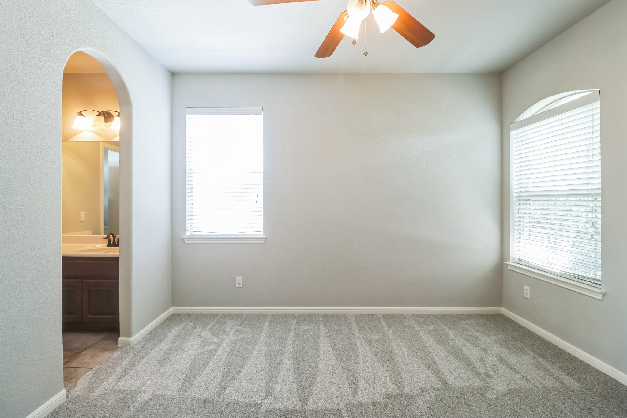 3913 Remington Road Cedar Park, TX 78613 - Photo 21 of 32 Plush carpeting and an elegant arched doorway define this light-filled room with an adjacent vanity area.