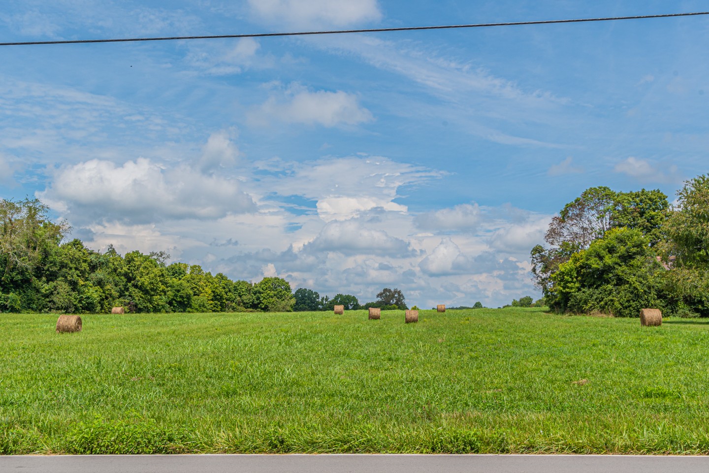 1220 Substation Road Pleasant View, TN 37146 - Photo 14 of 15 a view of a garden with a building in the background