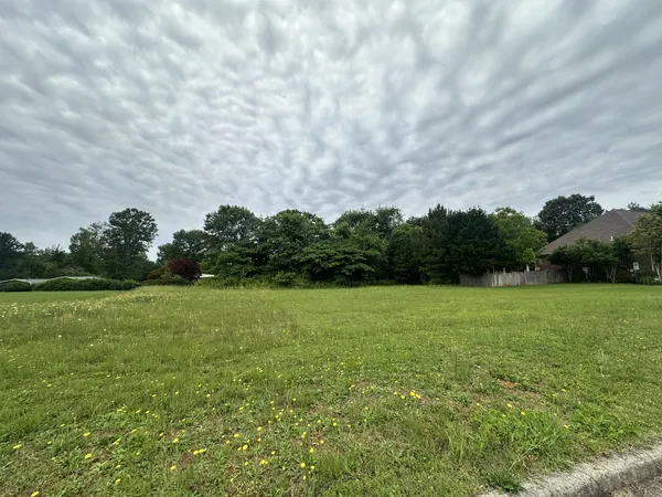 a view of field with tall trees