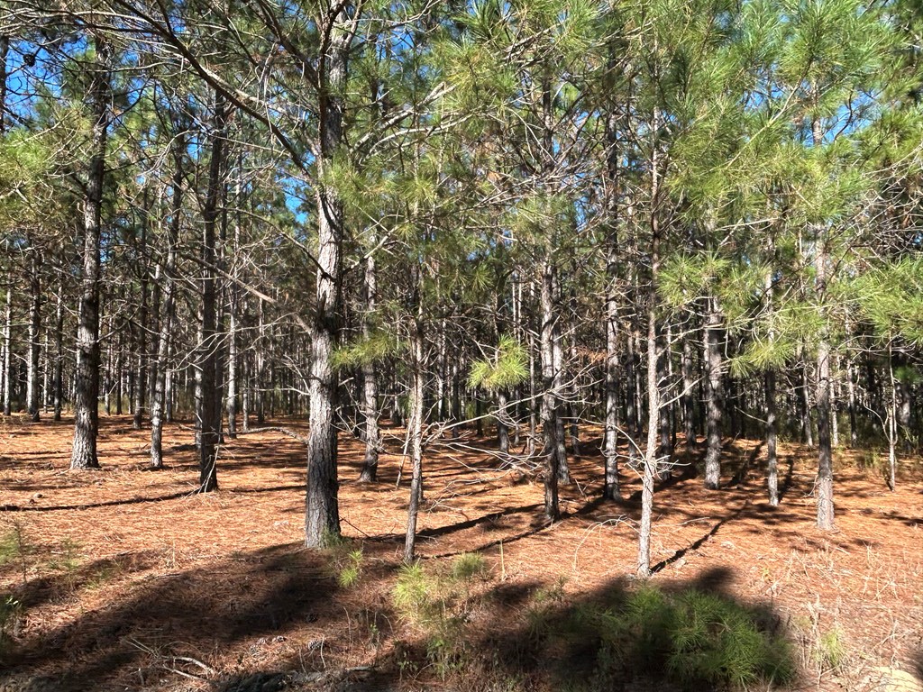 140/ Cty Road Headland, AL 36345 - Photo 20 of 33