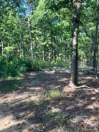 $61,995 | 173 Madison Cr, Fredericktown, MO 63645