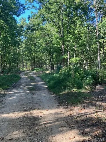 $61,995 | 173 Madison Cr, Fredericktown, MO 63645