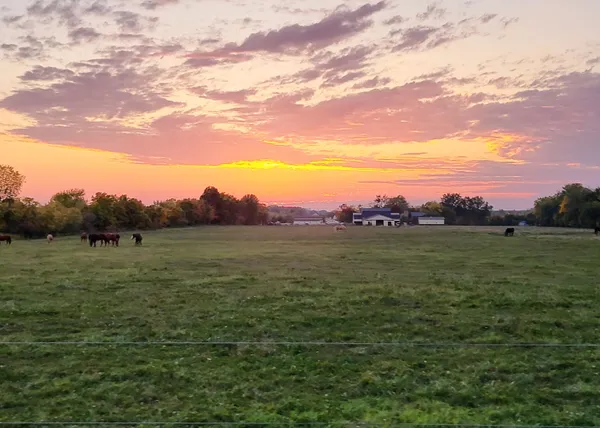 $1,374,900 | 16236 48th Avenue, Coopersville, MI 49404