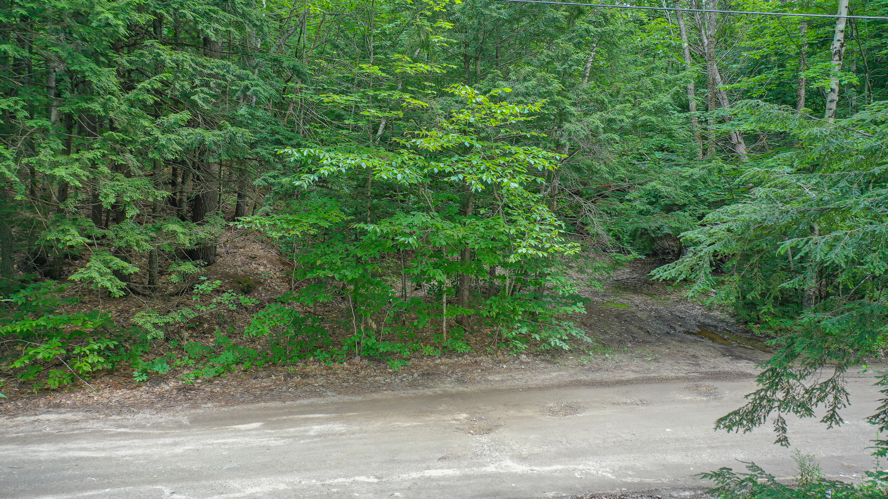 159 Shore Road Denmark, ME 04022 - Photo 40 of 40 159 shore road-55