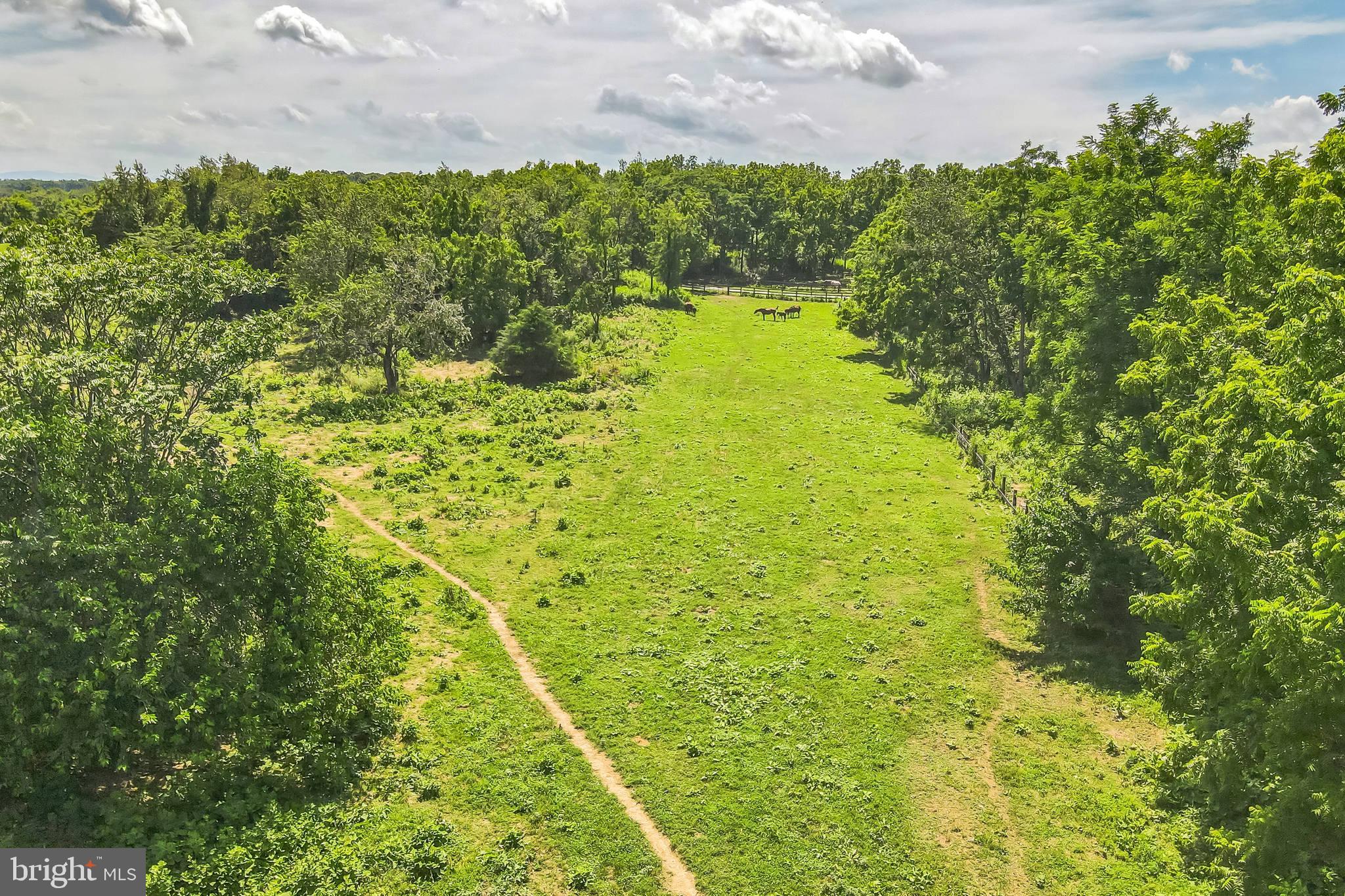 a view of a big yard with green space