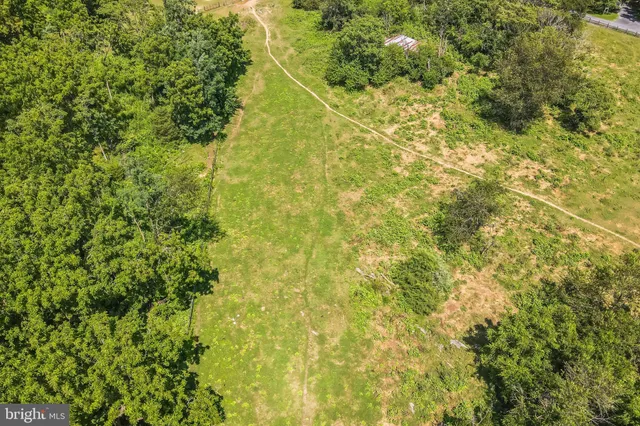 a close up of a plant