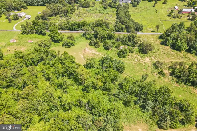 a view of yard with green space