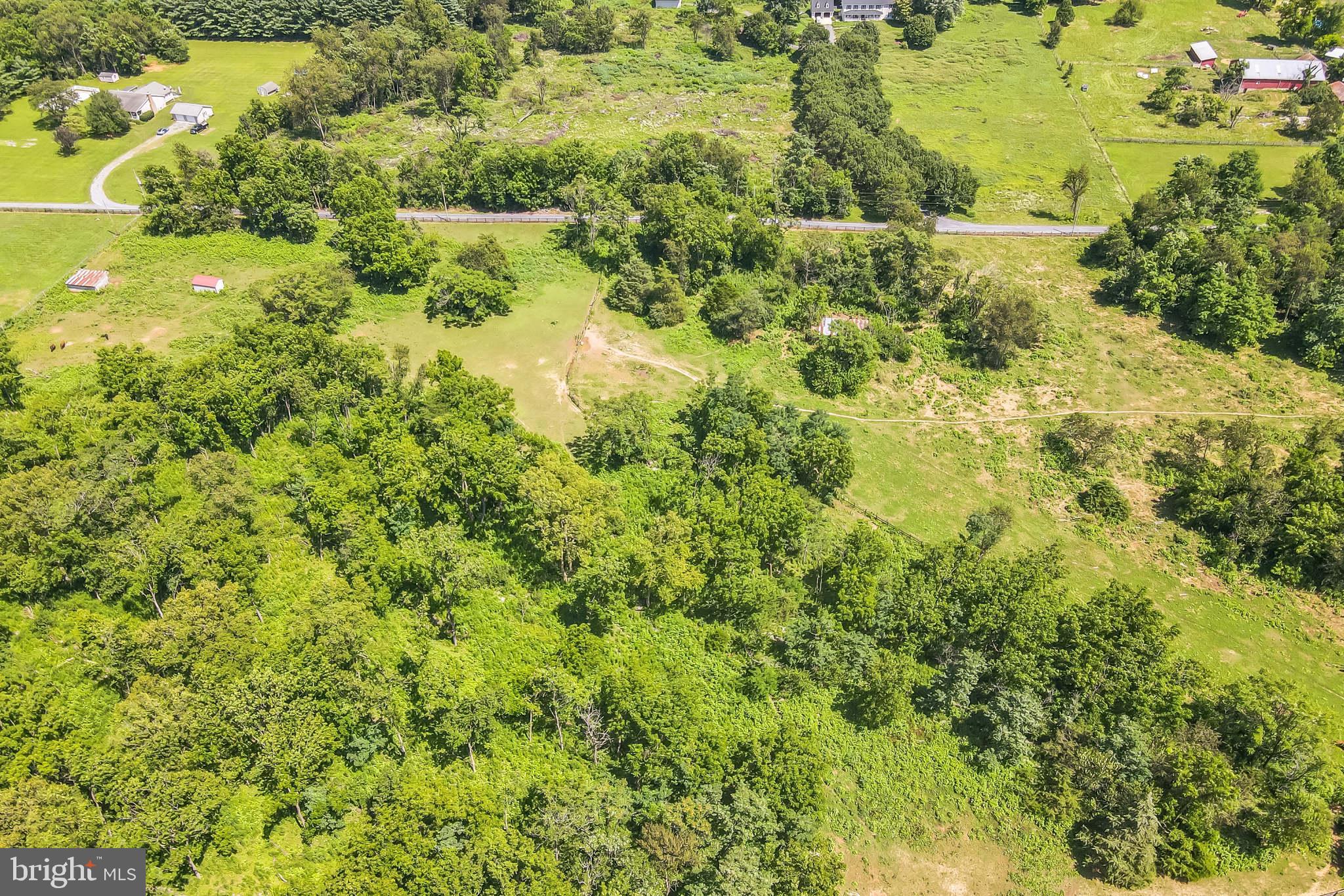 1683 Withers Larue Road Berryville, VA 22611 - Photo 5 of 9 a view of yard with green space