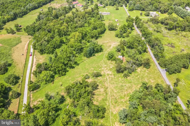 a view of a big yard with large trees
