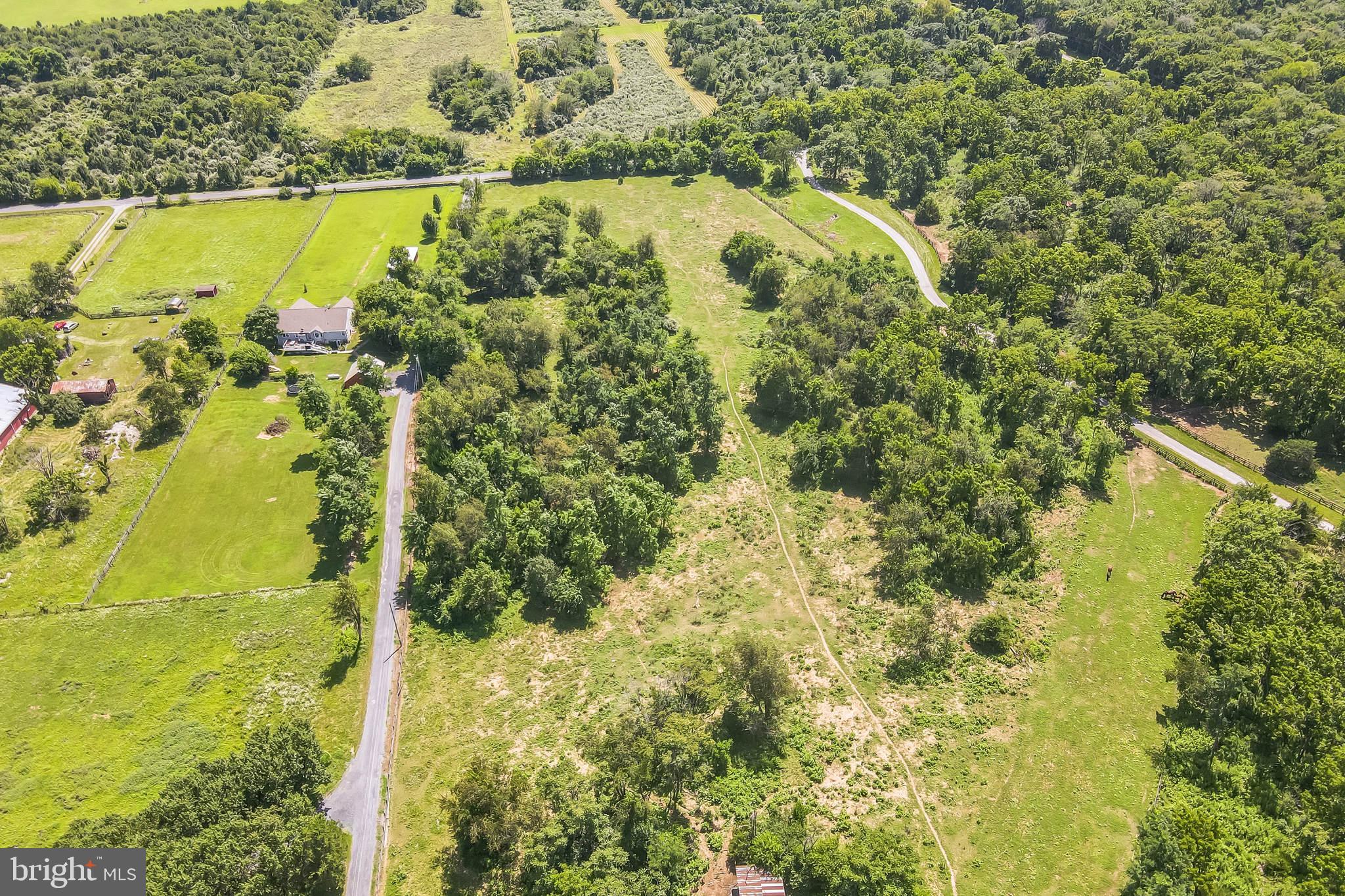 1683 Withers Larue Road Berryville, VA 22611 - Photo 8 of 9 a view of a yard