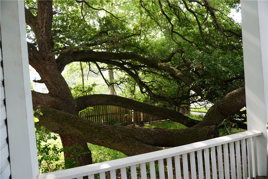 608 West 27th Street Bryan, TX 77803 - Photo 6 of 39 View of live oak tree from front porch