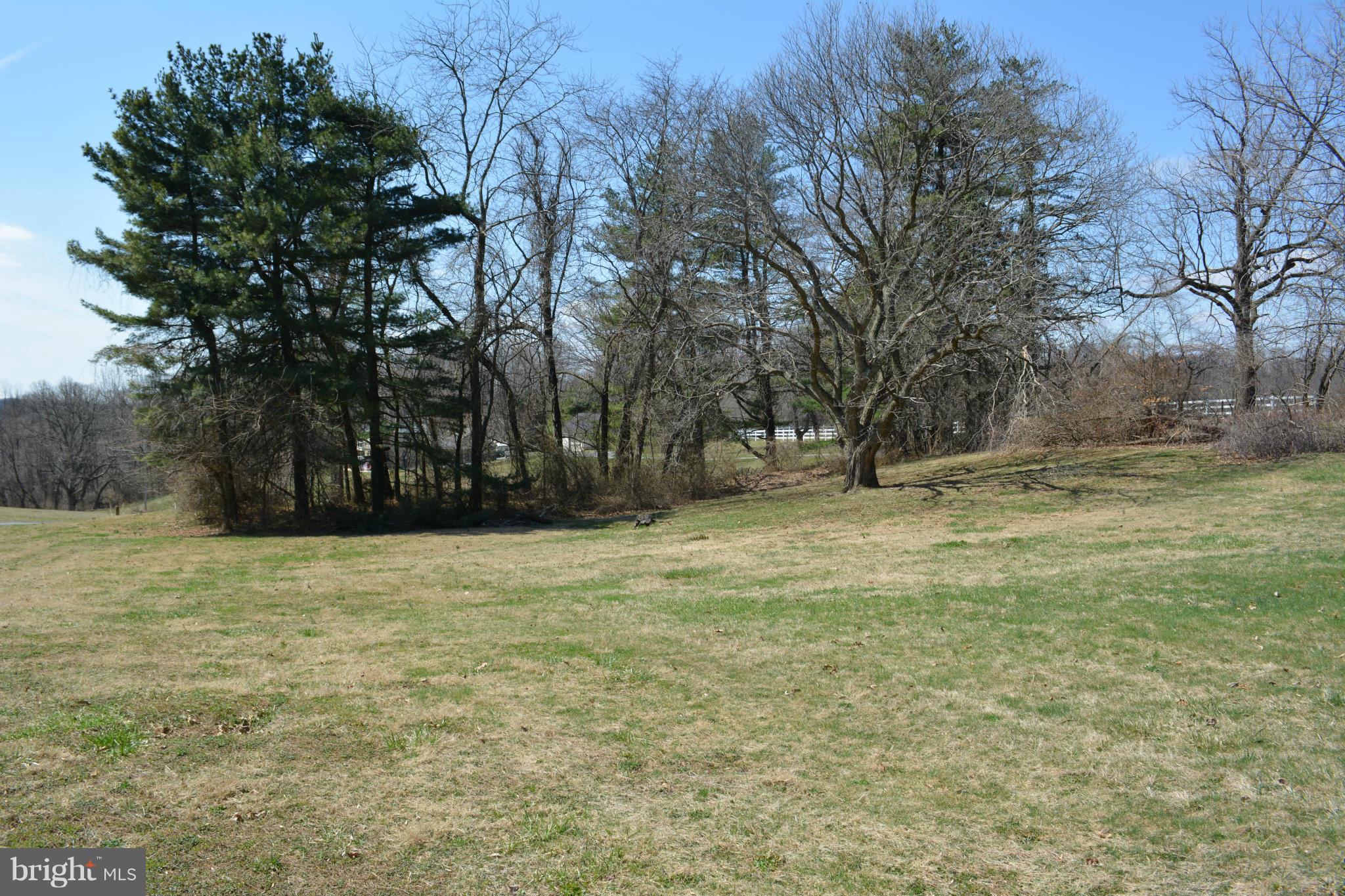 13008 Fork Road Baldwin, MD 21013 - Photo 21 of 25 Level Land