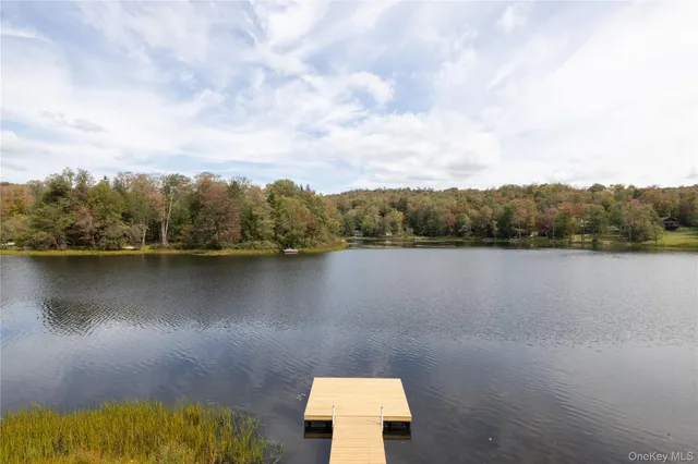 $565,000 | 212 Trout Brook Road, Roscoe, NY 12776