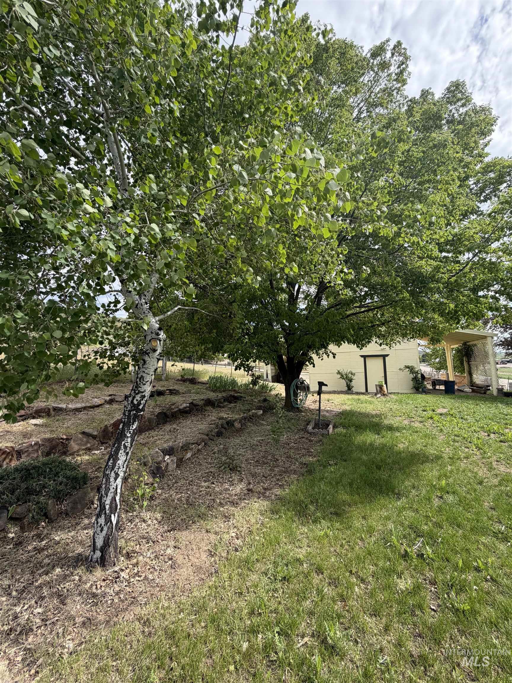 12184 Hill Road Payette, ID 83661 - Photo 33 of 35 Expansive yard featuring mature trees and established landscaping with tiered rock elements