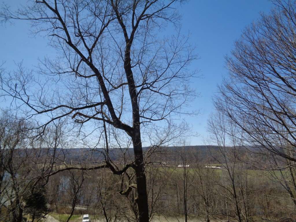 36 Pleasant Street Walpole, NH 03608 - Photo 5 of 25 Gallery Image 5
