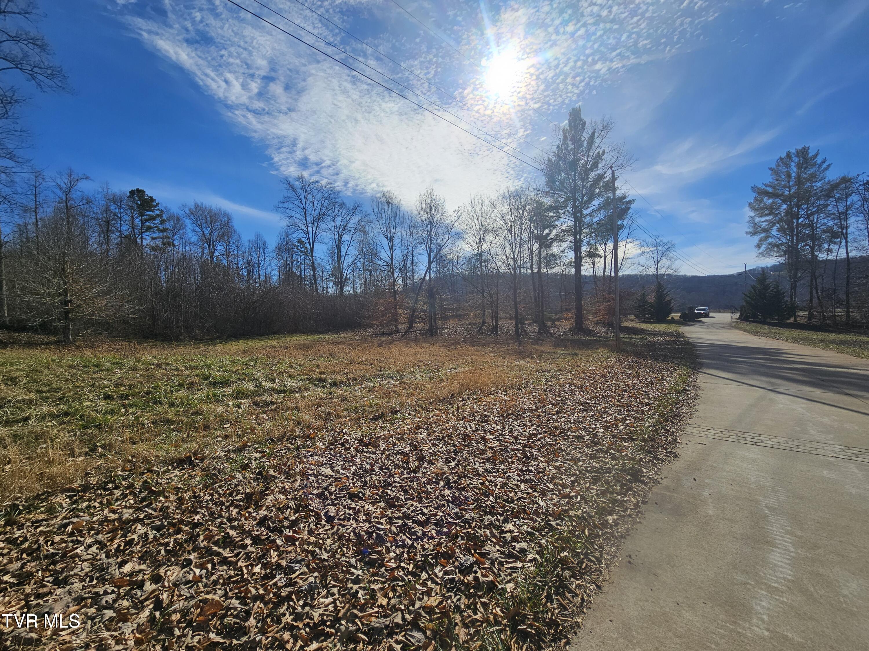 0 Old Leadmine Bend Road Sharps Chapel, TN 37866 - Photo 6 of 17 20240201_141211