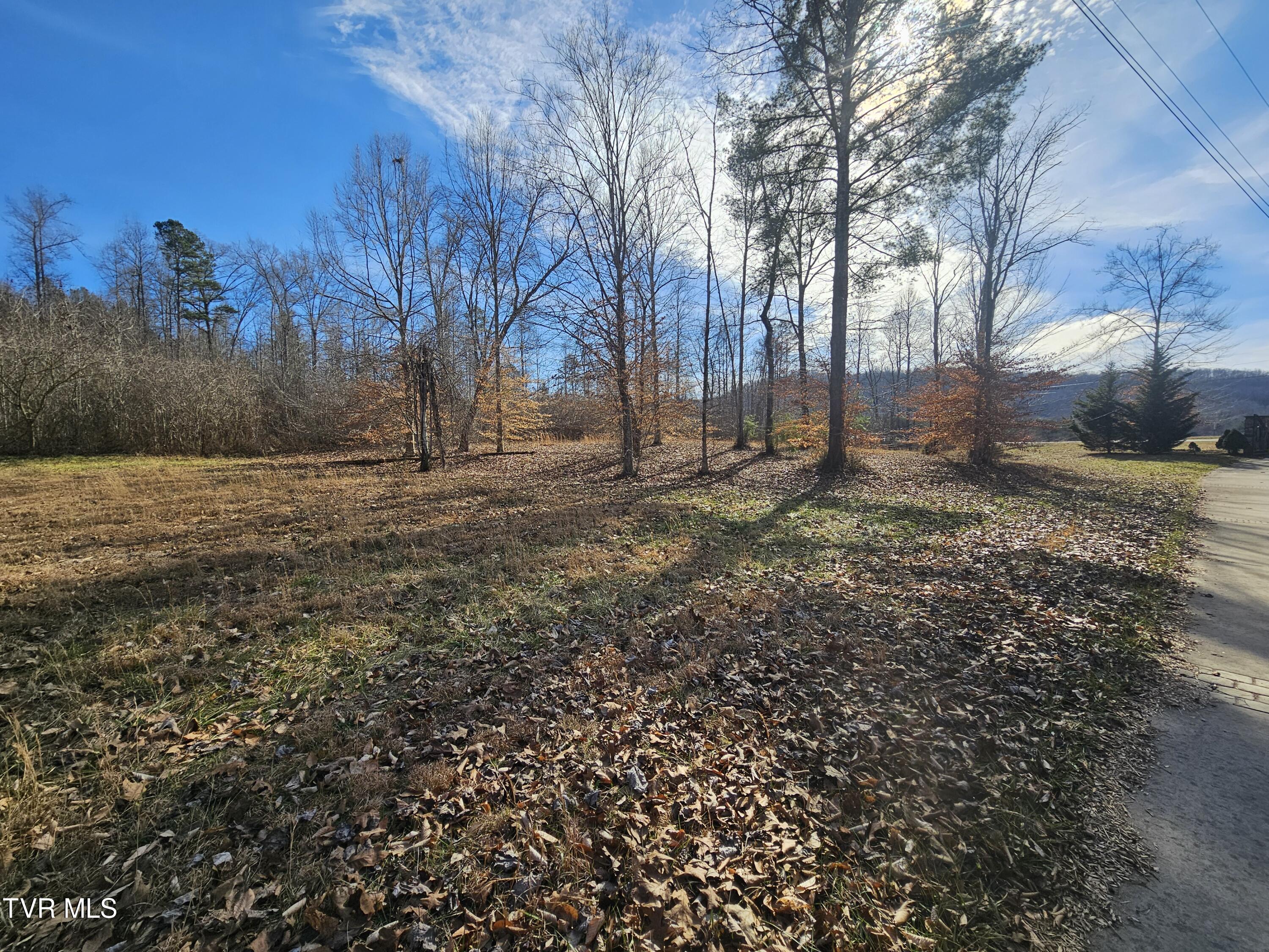 0 Old Leadmine Bend Road Sharps Chapel, TN 37866 - Photo 7 of 17 20240201_141231
