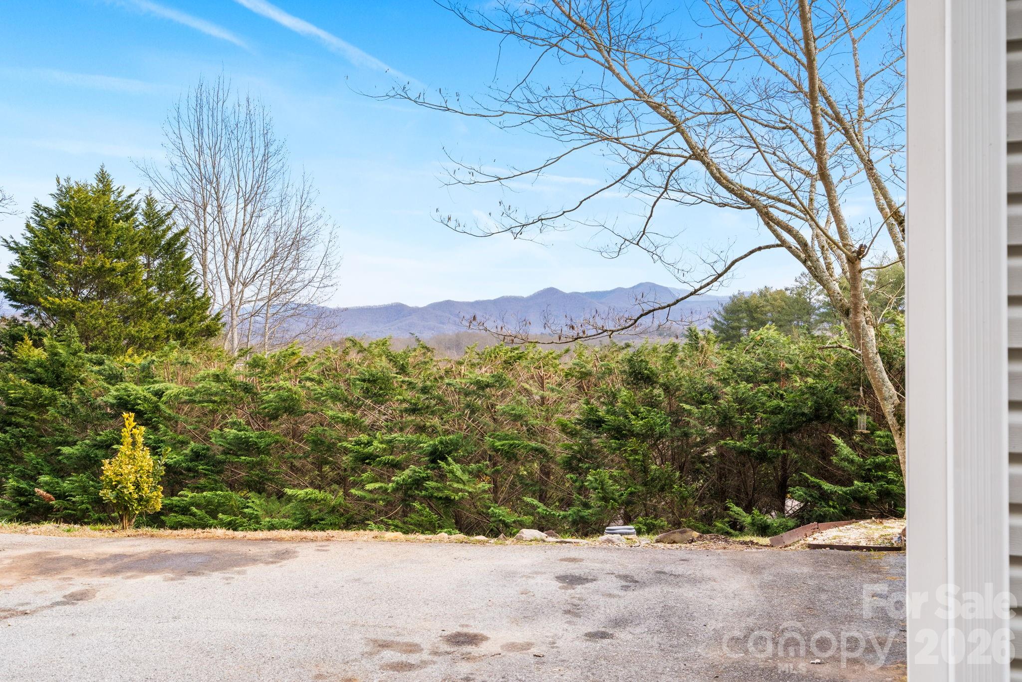 210 Ledbetter Lane Franklin, NC 28734 - Photo 7 of 32 a view of a yard with a large tree