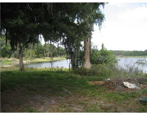 16929 Crawley Road Odessa, FL 33556 - Photo 1 of 1 Exterior Front