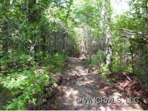 3 Walnut Ridge Road, Unit LOT 3 Brevard, NC 28712 - Photo 3 of 12 Gallery Image 3