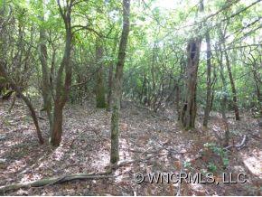 3 Walnut Ridge Road, Unit LOT 3 Brevard, NC 28712 - Photo 4 of 12 Gallery Image 4