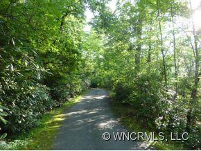 3 Walnut Ridge Road, Unit LOT 3 Brevard, NC 28712 - Photo 8 of 12 Gallery Image 8