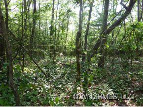 3 Walnut Ridge Road, Unit LOT 3 Brevard, NC 28712 - Photo 10 of 12 Gallery Image 10