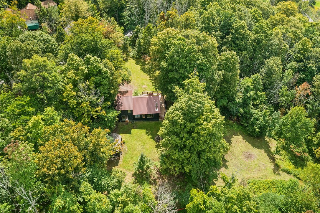 135 High Pine Meadows Road Middleburgh, NY 12122 - Photo 25 of 26 Gallery Image 25