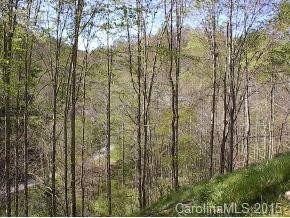 242 Scarlet Ridge Sylva, NC 28779 - Photo 3 of 9 Gallery Image 3