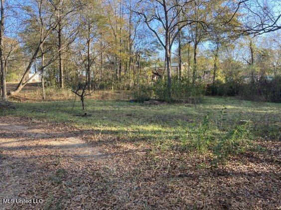 213 Pine Street Seminary, MS 39479 - Photo 16 of 16 Yard