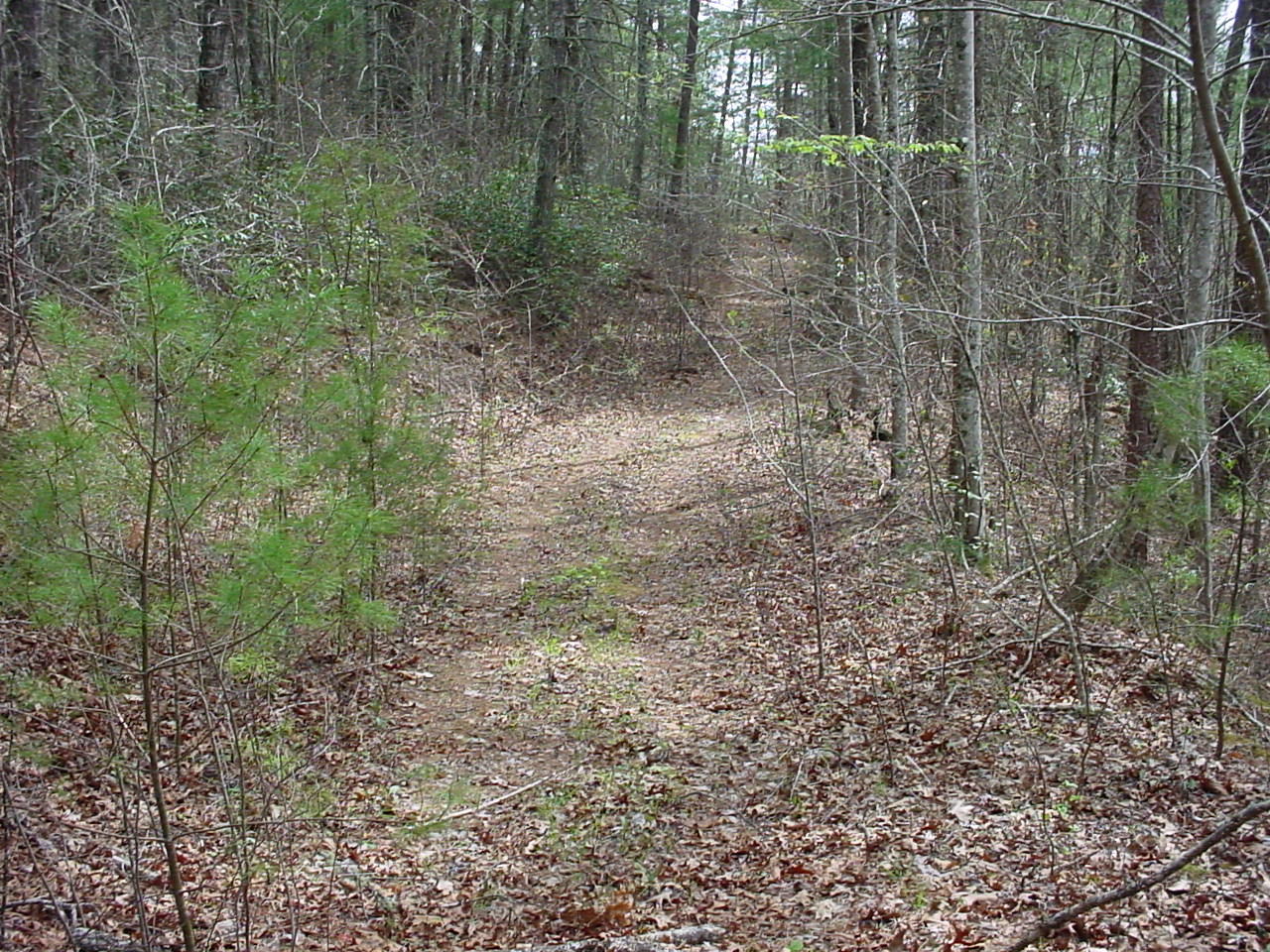 731 Carrs Creek Road Townsend, TN 37882 - Photo 16 of 20 DSC03547