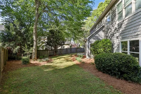 a view of a yard with plants and large trees