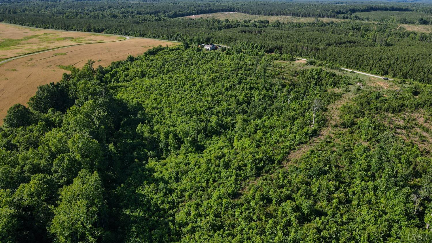 1653 Webb Mill Road Appomattox, VA 24522 - Photo 14 of 40 a view of a lush green forest