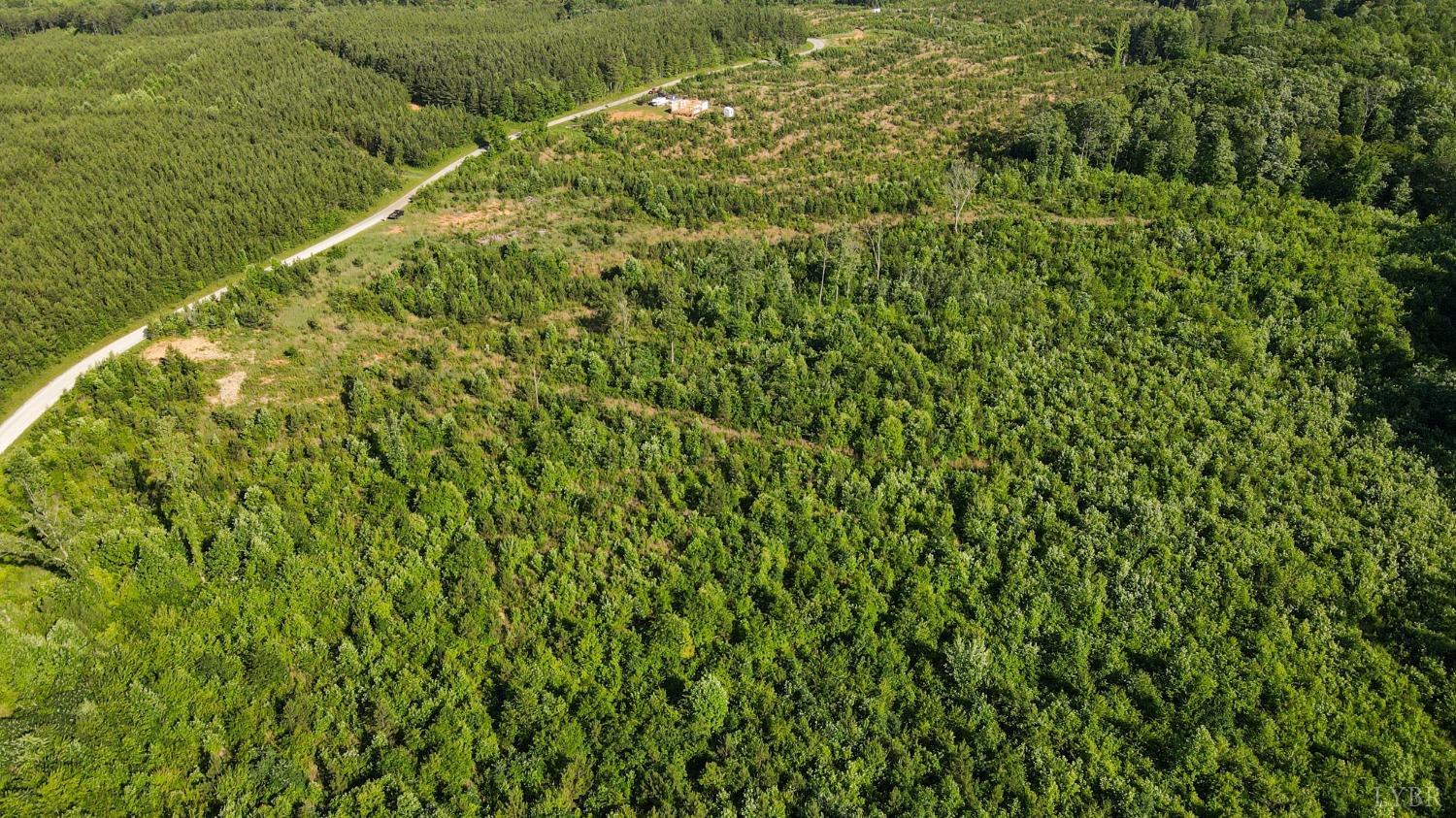1653 Webb Mill Road Appomattox, VA 24522 - Photo 18 of 40 a view of a large yard with plants and large trees