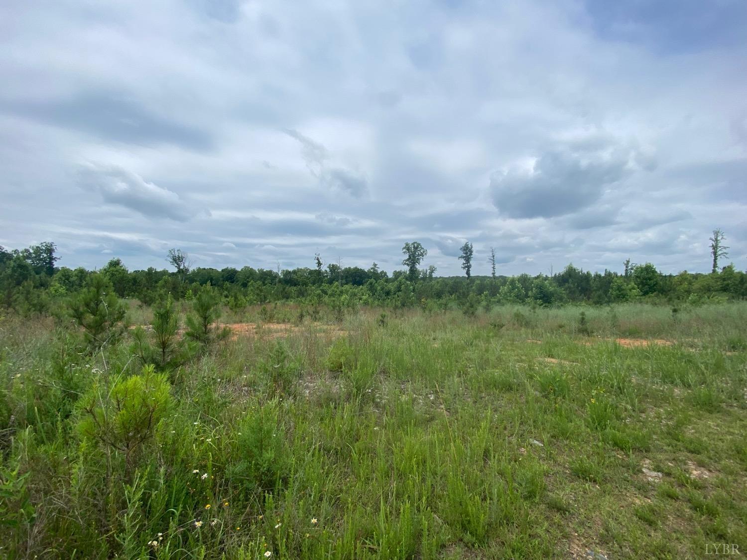 1653 Webb Mill Road Appomattox, VA 24522 - Photo 2 of 40 a view of a lake with green space