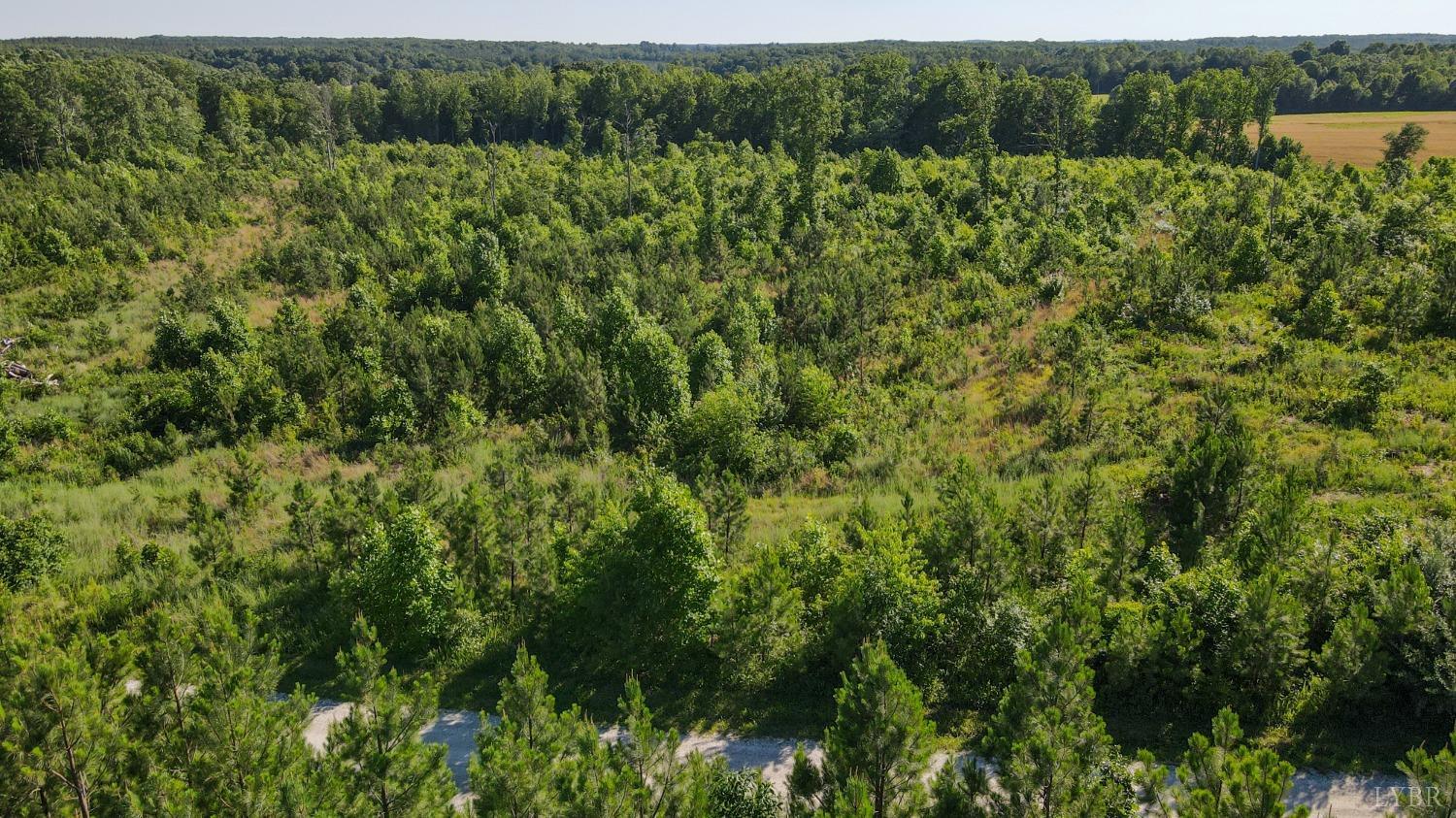 1653 Webb Mill Road Appomattox, VA 24522 - Photo 21 of 40 a view of a lush green forest with a houses