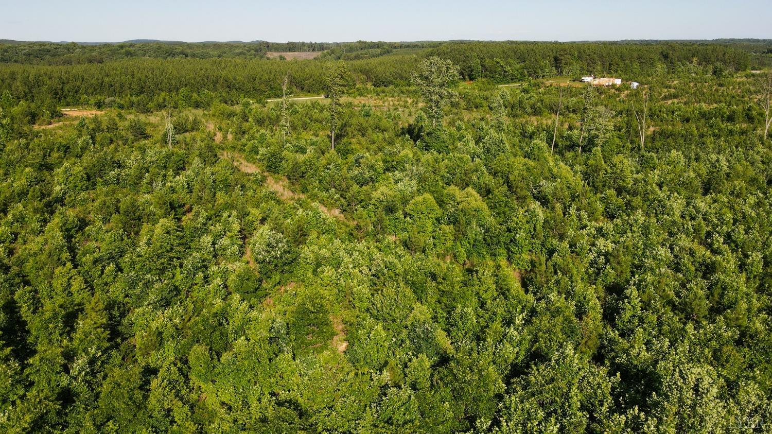 1653 Webb Mill Road Appomattox, VA 24522 - Photo 32 of 40 a view of a green field with lots of bushes