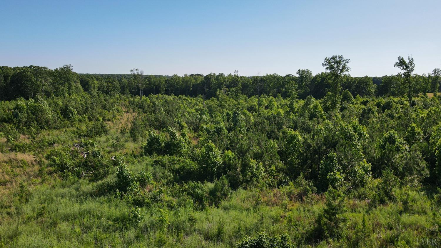 1653 Webb Mill Road Appomattox, VA 24522 - Photo 39 of 40 a view of a field of grass and trees
