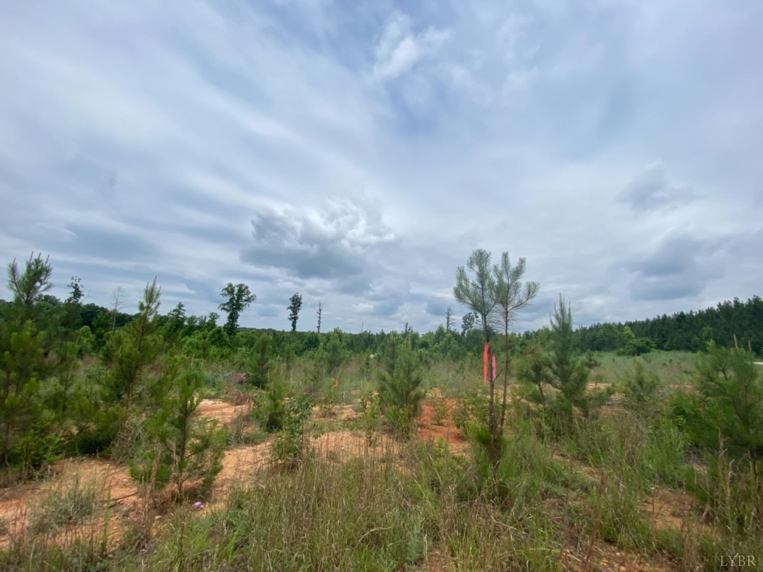 1653 Webb Mill Road Appomattox, VA 24522 - Photo 5 of 40 a view of a lake