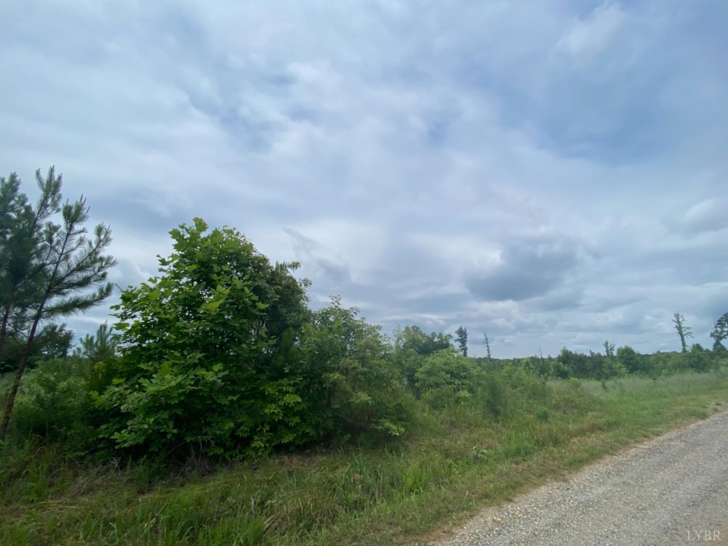 1653 Webb Mill Road Appomattox, VA 24522 - Photo 6 of 40 a view of a bunch of trees in a field