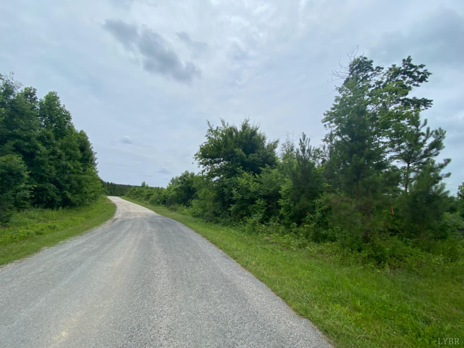1653 Webb Mill Road Appomattox, VA 24522 - Photo 7 of 40 a view of a street with a trees in the background