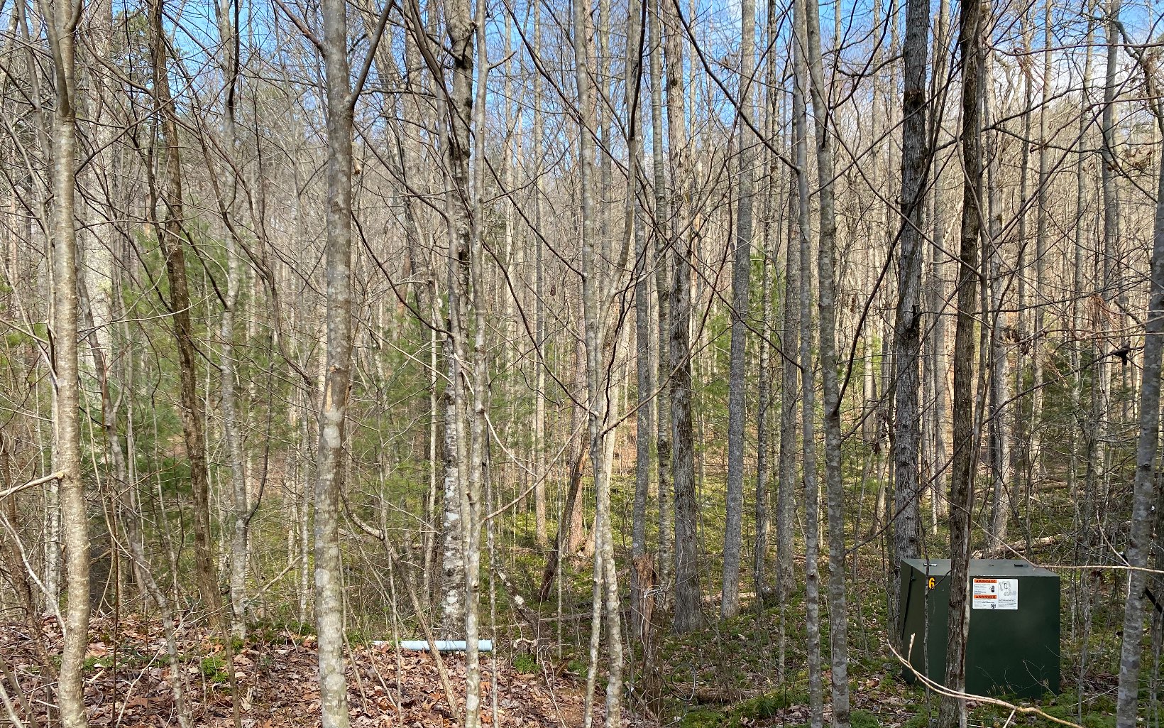Lot1 Cohutta Overlook Drive Blue Ridge, GA 30513 - Photo 3 of 4 Additional View