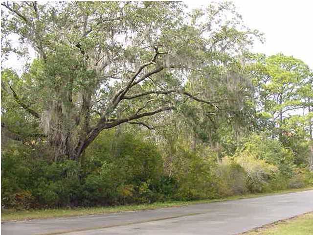 Lot 9 Nursery Road Santa Rosa Beach, FL 32459 - Photo 1 of 1 Gallery Image 1