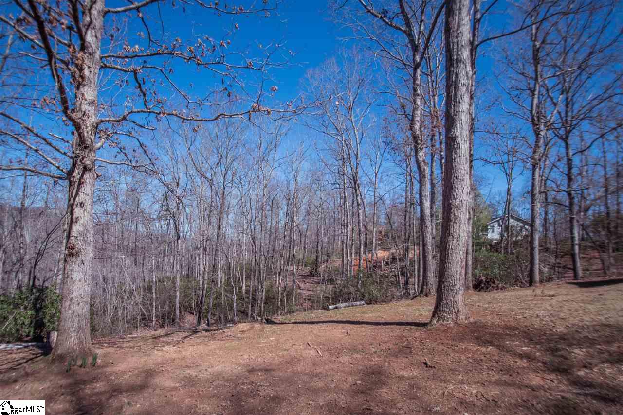 115 Cherokee Hill Ridge Road Pickens, SC 29671 - Photo 11 of 35 Gallery Image 11