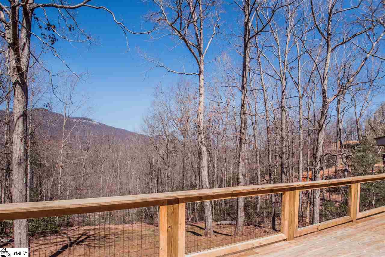 115 Cherokee Hill Ridge Road Pickens, SC 29671 - Photo 9 of 35 Gallery Image 9