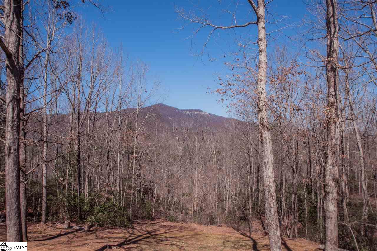 115 Cherokee Hill Ridge Road Pickens, SC 29671 - Photo 10 of 35 Gallery Image 10