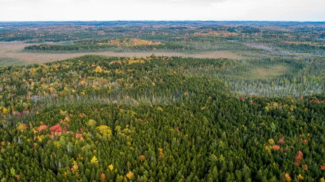 $190,000 | 15-2 Carson Lane, Whiting, ME 04691